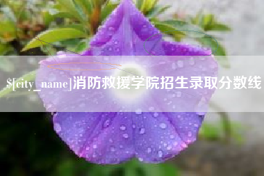 焦作消防救援学院招生录取分数线