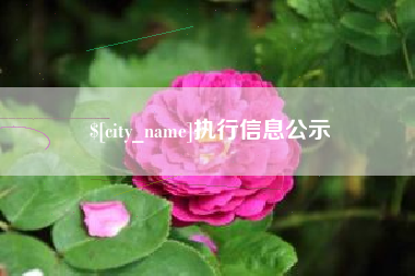 焦作执行信息公示