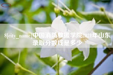 焦作中国消防救援学院2021年山东录取分数线是多少