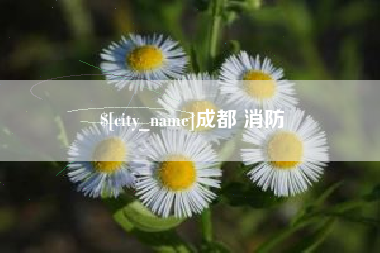 焦作成都 消防