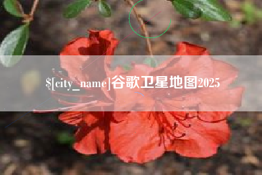 焦作谷歌卫星地图2025