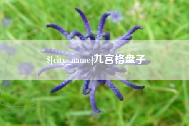 焦作九宫格盘子