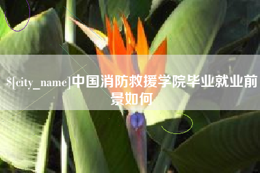 焦作中国消防救援学院毕业就业前景如何