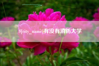 焦作有没有消防大学