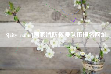 焦作国家消防救援队伍报名网址