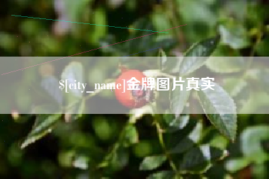 焦作金牌图片真实