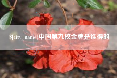 焦作中国第九枚金牌是谁得的