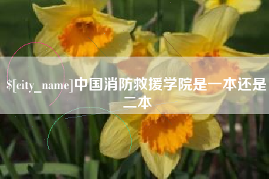 焦作中国消防救援学院是一本还是二本