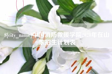 焦作中国消防救援学院2020年在山东招生计划表