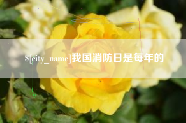 焦作我国消防日是每年的