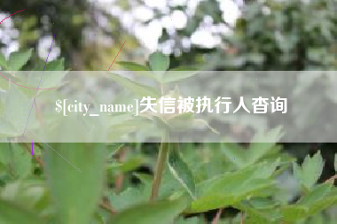 焦作失信被执行人杳询