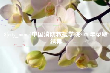 焦作中国消防救援学院2020年录取结果