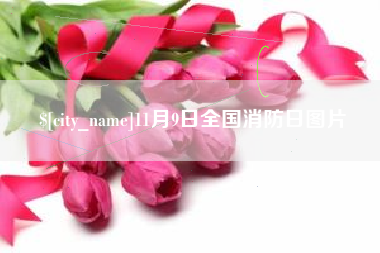 焦作11月9日全国消防日图片