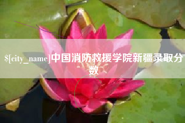 焦作中国消防救援学院新疆录取分数
