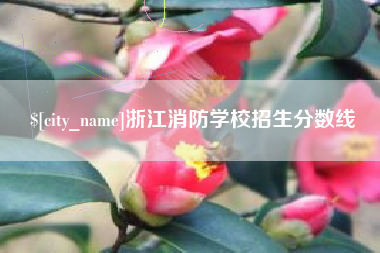 焦作浙江消防学校招生分数线