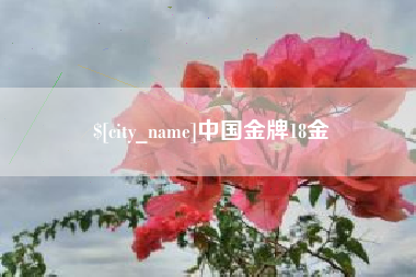 焦作中国金牌18金