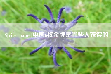 焦作中国6枚金牌是哪些人获得的