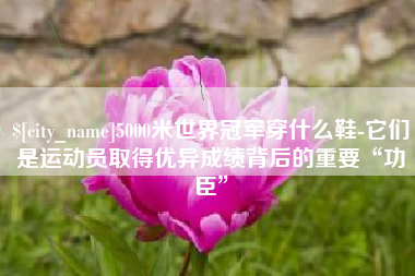 焦作5000米世界冠军穿什么鞋-它们是运动员取得优异成绩背后的重要“功臣”