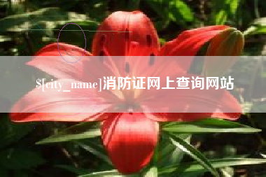 焦作消防证网上查询网站