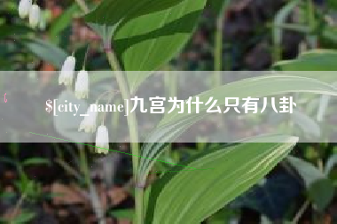焦作九宫为什么只有八卦