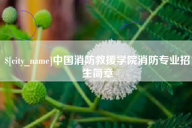 焦作中国消防救援学院消防专业招生简章
