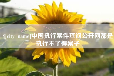 焦作中国执行案件查询公开网都是执行不了得案子