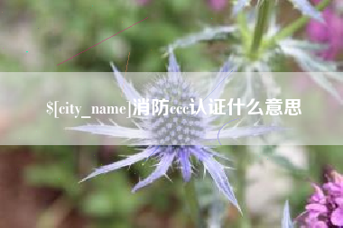 焦作消防ccc认证什么意思