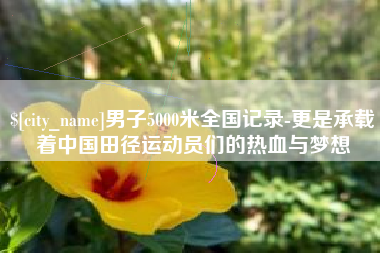 焦作男子5000米全国记录-更是承载着中国田径运动员们的热血与梦想