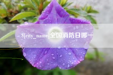 焦作全国消防日哪一