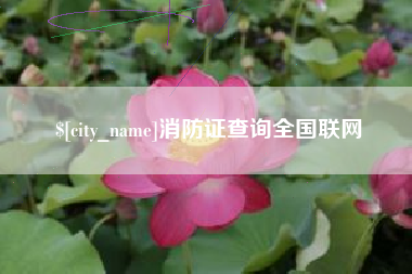 焦作消防证查询全国联网