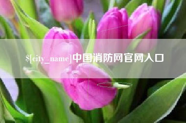 焦作中国消防网官网入口