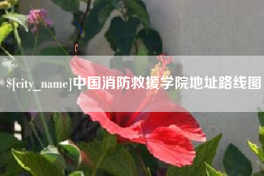 焦作中国消防救援学院地址路线图