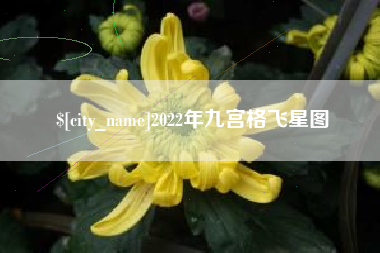 焦作2022年九宫格飞星图