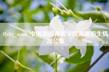 焦作中国消防救援学院湖南招生情况公布