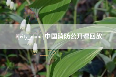 焦作中国消防公开课回放