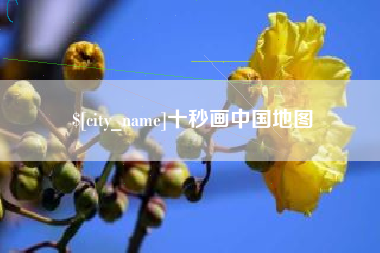 焦作十秒画中国地图