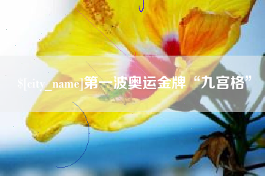 焦作第一波奥运金牌“九宫格”