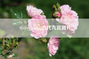 焦作古代九宫图片