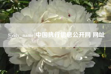 焦作中国执行信息公开网 网址