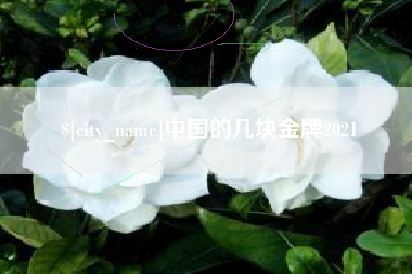 焦作中国的几块金牌2021
