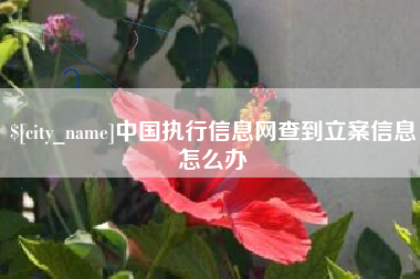 焦作中国执行信息网查到立案信息怎么办