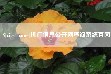 焦作执行信息公开网查询系统官网