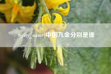 焦作中国九金分别是谁