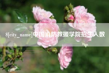 焦作中国消防救援学院招生人数