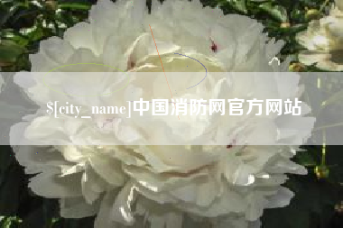 焦作中国消防网官方网站