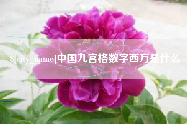 焦作中国九宫格数字西方是什么