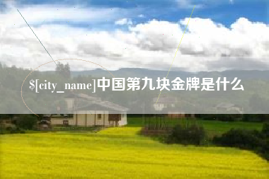 焦作中国第九块金牌是什么