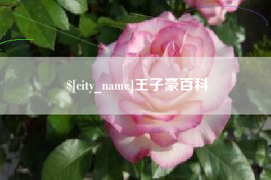 焦作王子豪百科
