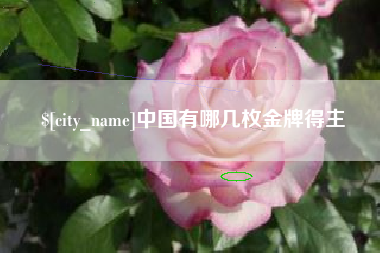 焦作中国有哪几枚金牌得主