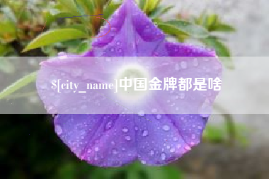 焦作中国金牌都是啥